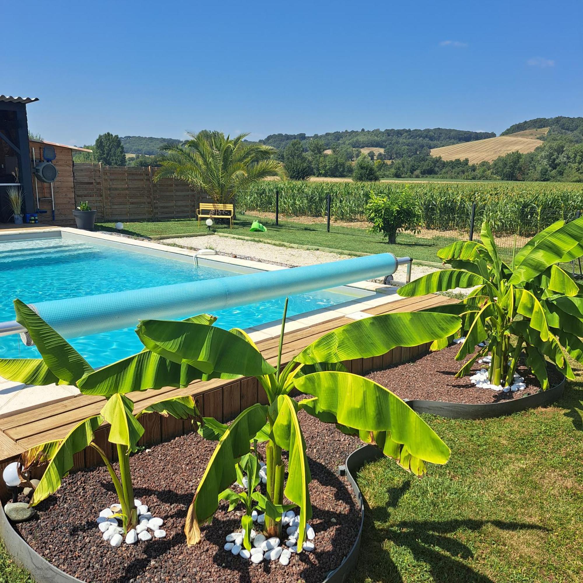 Saint-Pierre-de-Clairac Le Domaine Vesque 빌라 외부 사진