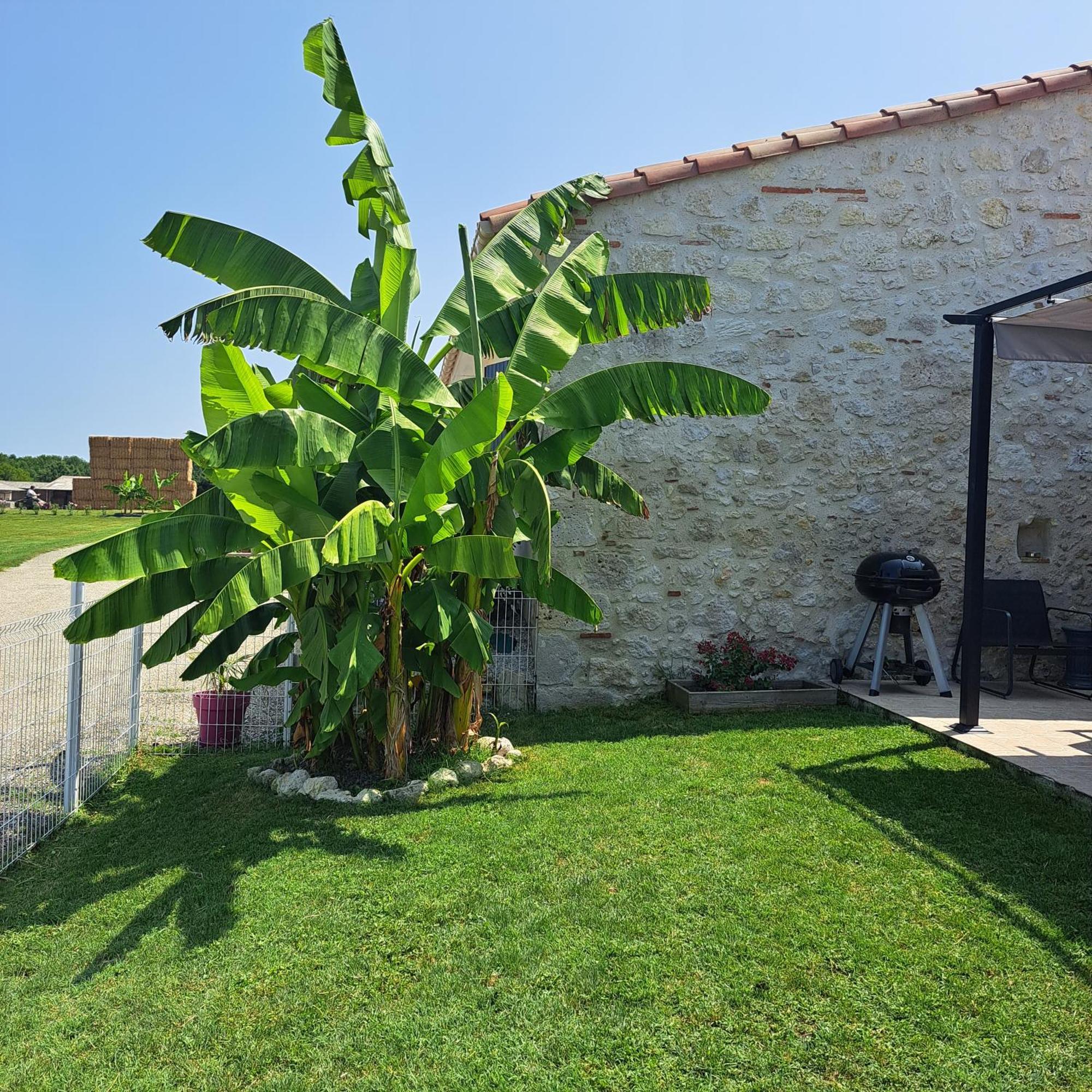 Saint-Pierre-de-Clairac Le Domaine Vesque 빌라 외부 사진